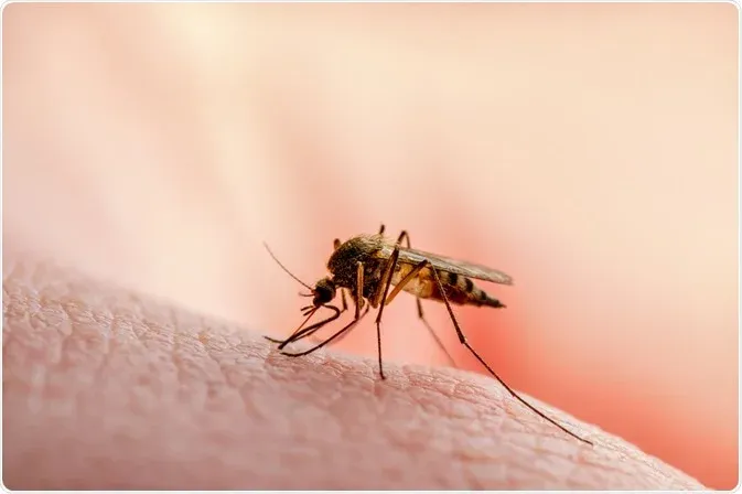 Nigeria's Malaria Challenge: More Than Just Bed Nets