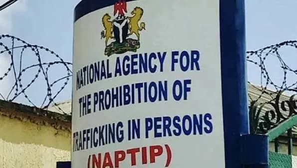 Fake Jobs, Forced Labour: Closing Nigeria’s New Trafficking Routes